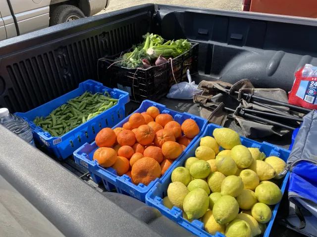 Produce from HAREC