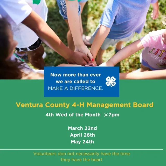 Managment Board Dates